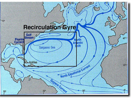 B&iacute; ẩn tam gi&aacute;c quỷ huyền thoại Bermuda